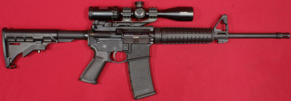 Ruger AR-556 Review: With Bushnell AR Optics Scope