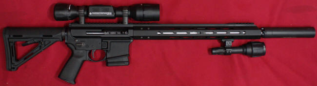 Bear Creek Arsenal 300 Blackout Rifle Build