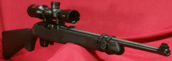 Ruger 10/22 Carbine with LaserMax Laser